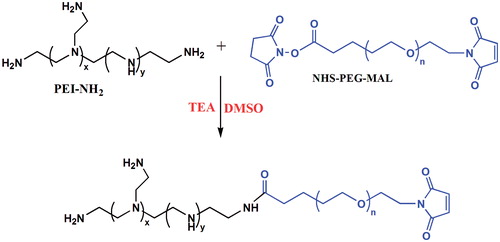 Figure 13. Synthesis scheme of PEI–PEG.