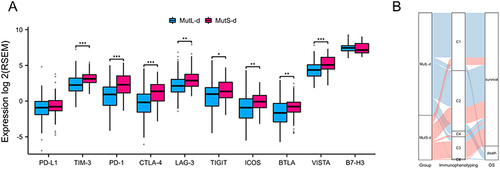 Figure 6 Profiles of immune checkpoint and immunophenotyping composition of MutS-d and MutL-d. (A) Expression of the MutS-d and MutL-d immune checkpoints. (B) Immunophenotyping and prognosis of MutS-d and MutL-d.