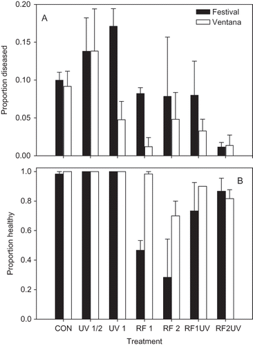 FIGURE 2 Proportion of leaves with angular leaf spot symptoms (A) and the proportion of plants out of 20 surviving the treatment (B) (i.e., not stunted or killed) in field experiments conducted in GCREC in Wimauma, FL. Plants were treated with UV-C radiation for 30 min or 1 hr (UV 1/2 and UV 1, respectively), or by radio frequency (RF) treatment to achieve a temperature of 48°C for 1 or 2 hr (RF1 and RF2, respectively), or by a combination of RF treatment for 1 or 2 hr plus UV-C for 1 hr (RF1UV and RF2UV, respectively). An untreated control was also included (CON). Each bar represents the proportion of three replicate plots of 20 plants each, along with the standard error. Filled bars represent cv. Strawberry Festival and open bars represent cv. Ventana.