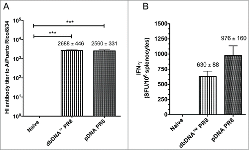 Figure 4. Comparison of host responses to DNA vaccination. (A) Hemagglutination inhibition (HI) antibody titers from the challenge groups of mice (n = 10/group) 3 weeks after the final immunization and prior to viral challenge. (B) The number of IFN-γ secreting splenocytes 3 weeks after the final vaccination. Splenocytes were stimulated with H1HA pooled peptides and IFN-γ secretion was reported as spot forming units (SFU) per million splenocytes. Group mean ± SEM are reported. ***, P < 0.0005 for DNA HI antibody titers compared to naive.