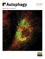 Cover image for Autophagy, Volume 8, Issue 1, 2012