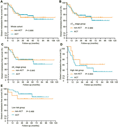 Figure 4 The Kaplan–Meier survival curves of distant metastasis-free survival stratified by adjuvant chemotherapy for pCR patients. The whole cohort (A) and different subgroups (B–E), including cT3-4 stage group (B), cN+stage group (C), high risk group (D) and low risk group (E).
