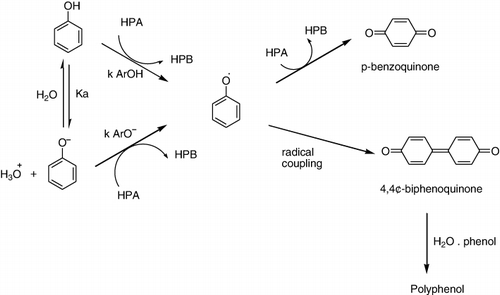 Scheme 14. Oxidation of phenol.