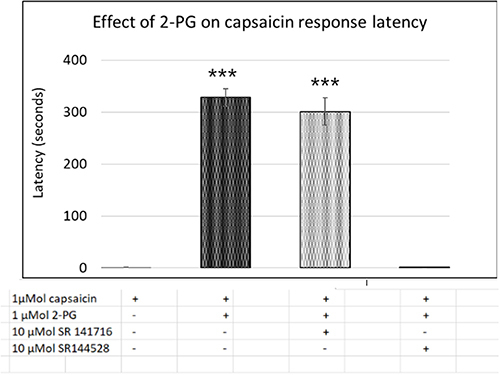 Figure 4 Capsaicin response latency in control neurons (1st bar, N=16), was increased in the presence of 2-PG (2nd bar, N=6). The 2-PG mediated increase in capsaicin response latency was unaffected by the CB1 receptor antagonist (3rd bar, N=5), but was reversed by the CB2 receptor antagonist (4th bar, N=6). ***P<0.001 compared with control.