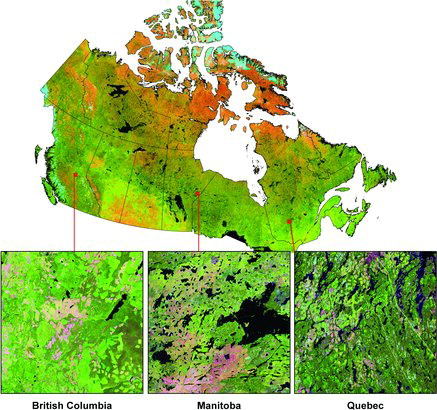 FIG. 5. Multi-year BAP composite for Canada incorporating pixels from years 2009, 2010, 2011.