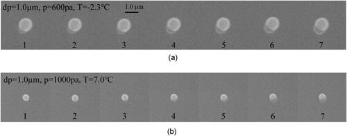 Figure 4. Time-resolved images of smooth particles.