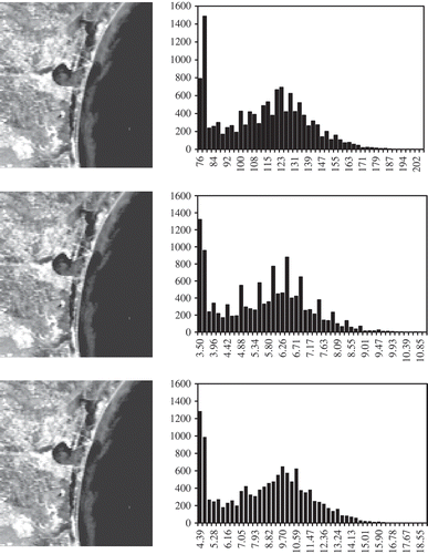 Figure 5. The Corpus Christi, Texas, area of image NSS.HRPT.NM.D03364.S1717.E1727.B0788080.WI. The area of 108 × 118 pixels are from channel 1 of this AVHRR scene. The top is the raw digital number (DN) image and its histogram. The middle is the calibrated planet reflectance image and its histogram. The bottom is the surface reflectance image and its histogram.