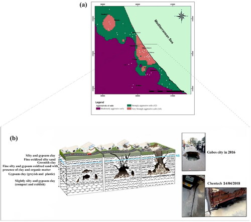 Figure 12. (a) Agressivily soil of the Gabes area, (b) the subsidence risk model.