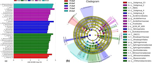 Figure 4. LEfSe results on soil bacterial communities. (a) Histogram of the LDA scores computed for features differentially abundant on different site of tea soil. LEfSe scores can be interpreted as the degree of consistent difference in relative abundance between features of analysed bacterial communities. The histogram thus identifies which clades among all those detected as statistically and biologically differential explain the greatest differences between communities. (b) Taxonomic representation of statistically and biologically consistent differences in different site of tea soil. Differences are represented in the colour of the most abundant class (yellow non-significant, other significantly different). Each circle’s diameter is proportional to the taxon’s abundance.