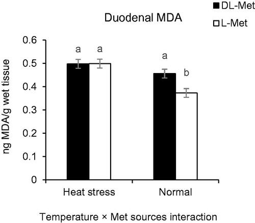 Figure 3. Interaction effect of temperature and methionine (Met) sources on duodenal lipid peroxidation (ng MDA/g wet tissue) of broilers reared under normal or heat stress conditions. ‘Low-DL or L-Met, 30% lower that Ross 308 recommendation (2014)’; ‘Rec-DL or L-Met, Ross 308 recommended level’; ‘High-DL or L-Met, 30% more than Ross 308 recommendation’. Each of the four-factor combinations had five replicate pens of 10 birds each (r = 5). Values are means with their standard deviations represented by vertical bars. a,bMeans without common superscript are significantly different (p < .05).