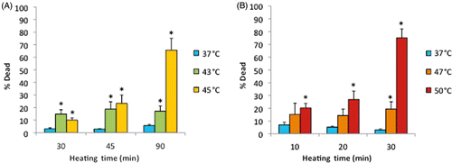 Figure 5 Death of cells on ePTFE as determined immediately after various thermal exposures. Cells were cultured on collagen-coated ePTFE at 37°C for a day, and then exposed to 43° and 45°C (A) or 47° and 50°C (B) for various durations. After the heat exposure, the cell viability/death was immediately assessed, and the percentage of dead (necrotic) cells were reported. Significant cell death (more than 50% of cell death) was detected only after long heating durations or exposure at high temperature. Exposure to 37°C served as the control. N = 3–4. Error bars represent SEM. *P < 0.05 compared to the control with the same exposure duration.