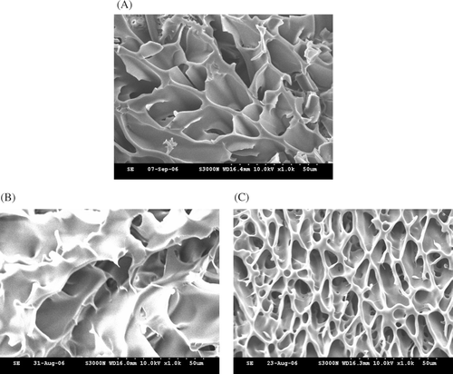 FIG. 3 Cross-sectional scanning electron microscopic (SEM) images (magnification, ×1000) of hydrogels after the freeze-drying process composed of (A) PNIPAAm, (B) CPN-L, and (C) CPN-H at a concentration of 15% (w/w).