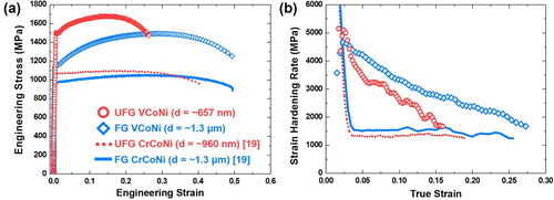 Figure 2. (a) Engineering stress–strain curves and (b) Strain–hardening rate curves of the UFG and FG VCoNi MEAs compared with those of CrCoNi MEAs having similar grain size.