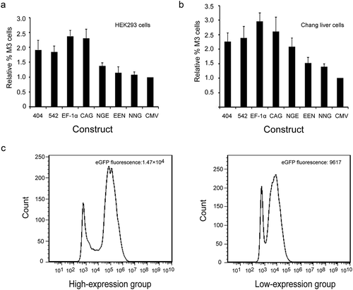 Figure 4. (a, b) Relative %M3 cells in transfected HEK293 and Chang liver cells. (c) eGFP expression levels in high- and low-expression groups with the EF-1α promoter.