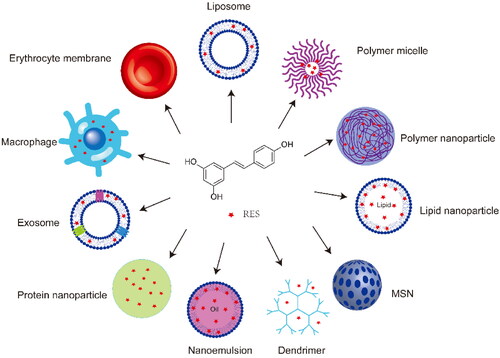 Figure 2. RES-loaded nanoformulations. MSN, mesoporous silica nanoparticles.