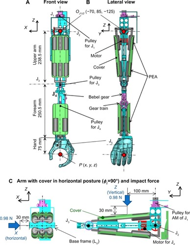 Figure 14 Design of 4-DOF arm with 1-DOF hand based on the results of determining PEA configuration in AM, and layout of PEA and motor in each joint.