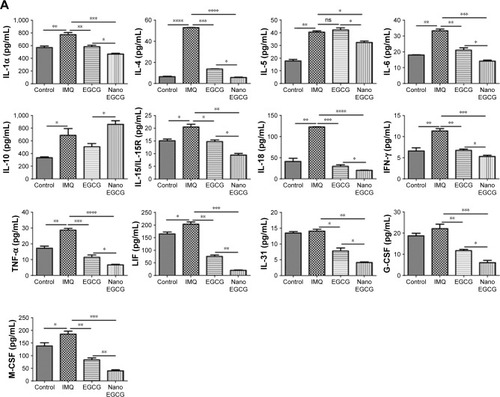 Figure 8 Effect of topical application of free EGCG and nanoEGCG on the expression of signature inflammatory cytokines and chemokines in IMQ-treated mouse skin. (A, B) Expression levels of secreted pro-inflammatory and anti-inflammatory cytokines and chemokines using the mouse-specific 36-Plex ProcartaPlex multiplex immunoassay as described in Materials and methods and Supplementary materials. Total back skin lysates were isolated from the 4 treatment groups and equal protein aliquots were processed for expression levels of: (A) pro-inflammatory or anti-inflammatory Th1 and Th2 cytokines as well as activators of granulocytes and/or monocytes/macrophages, and (B) Th17/Th22/Treg cytokines as well as type 1 and type 2 chemokines along with granulocyte and monocyte/macrophage chemokines. Bars are mean±SEM for each cytokine and chemokine, and statistical significance for comparisons is shown as *p<0.05, **p<0.01, ***p<0.001, and ****p<0.0001.Abbreviations: EGCG, (–)-epigallocatechin-3-gallate; nanoEGCG, chitosan-based polymeric nanoparticle formulation of EGCG; IMQ, imiquimod; IFN-γ, interferon-γ; TNF-α, tumor necrosis factor-α; LIF, leukemia inhibitory factor; G-CSF, granulocyte–colony-stimulating factor; M-CSF, macrophage–colony-stimulating factor; MIP, macrophage inflammatory protein; MCP, monocyte chemoattractant protein; IP, interferon-inducible protein.