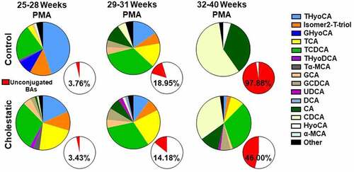 Figure 3. Fecal bile acid profiles are altered during cholestasis. Bile acid stereoisomers dominate in early development, then primary unconjugated bile acids increase in abundance in control neonates. Bile acid stereoisomers are less abundant and bile acid deconjugation is impaired in cholestatic neonates (excluding samples obtained during UDCA treatment) (n = 14–26). α-MCA, alpha-muricholic acid; CA, cholic acid; CDCA, chenodeoxycholic acid; DCA, deoxycholic acid; GCA, glycocholic acid; GCDCA, glycochenodeoxycholic acid; GHyoCA, glycohyocholic acid; HyoCA, hyocholic acid; Isomer2-T-Triol, taurine conjugate of an unidentified trihydroxy-cholanoic acid; PMA, post-menstrual age; Tα-MCA, tauro-α-muricholic acid; TCA, taurocholic acid; TCDCA, taurochenodeoxycholic acid; THyoCA, taurohyocholic acid; THyoDCA, taurohyodeoxycholic acid; UDCA, ursodeoxycholic acid.