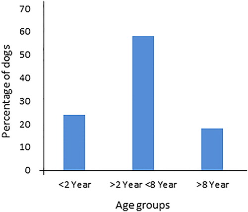 Figure 1. Distribution of age of the dogs with snakebite envenomation.