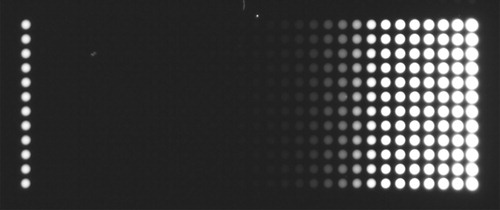 Figure 12. Fluorescence image of the CY5 array.