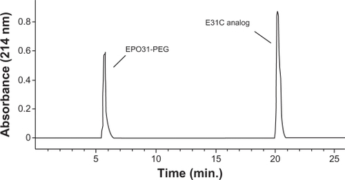 Figure 5 Size exclusion high-performance liquid chromatography chromatogram of PEGylated and unmodified analog. The peak at 6 minutes is related to EPO31-PEG, and the second peak is attributed to E31C analog eluted at 20 minutes after injection.