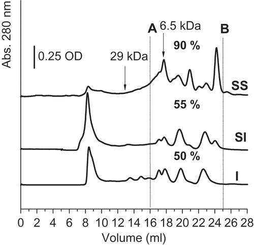 FIGURE 2 Gel filtration chromatography. I: Seed isolate; SI: sprout isolate; SS: sprout supernatant. Molecular markers elution volumes are indicated with arrows (29 kDa and 6.5 kDa). Percentages under the chromatograms correspond to each profile peaks area between the A and B lines.