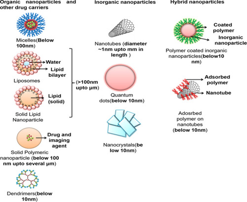 Figure 5 Various nanocarriers for drug delivery to the lungs.