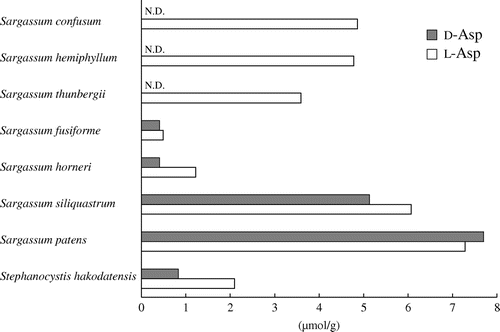 Figure 2. Concentrations of aspartate in macroalgae belonging to the family Sargassaceae.