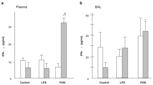 Figure 4 IFN-γ concentration in plasma and BAL fluid. (a) PGN increased plasma IFN-γ only in C3H/HeJ mice, whereas LPS did not change the plasma IFN-γ level. (b) In BAL fluid, the IFN-γ level after LPS was greater in C3H/HeJ than in C3H/HeN mice, while PGN-induced upregulation of IFN-γ did not differ between the strains.Notes: Open columns, C3H/HeN mice; Gray columns, C3H/HeJ mice; Data are presented as the mean ± SEM (n = 6); *p < 0.05 versus control; †p < 0.05 versus C3H/HeN mice.Abbreviations: BAL, bronchoalveolar lavage; IFN, interferon; LPS, lipopolysaccharide; PGN, peptidoglycan; SEM, standard error of mean.