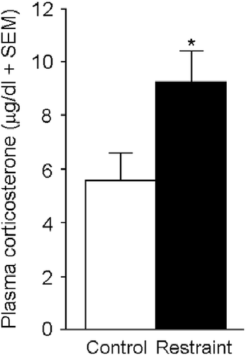 Figure 2.  Dams exposed to thrice daily restraint stress on gestational days (GD) 17–21 (restraint; n = 8) had significantly greater concentrations of corticosterone in plasma 30 min following parturition than did dams that were minimally handled on GD 17–21 (control; n = 8). * indicates significant main effect, p < 0.05.