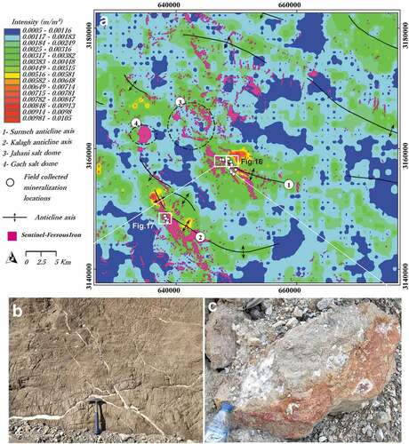 Figure 13. The mineralization potential map with the locations of the surface alterations related to the Pb-Zn deposits (obtained from the field survey) that confirm the results of study (a). Photograph of barite veins (b) and Zinc carbonate sample (c) in Lower Dalan Formation at Kuh-e-Surmeh ore deposit.