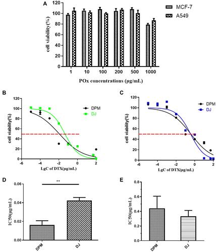 Figure 5 In vitro cytotoxicity evaluation. (A) Blank POx micelles, (B) DPM and DJ in MCF-7 cells, (C) DPM and DJ in A549 cells, (D) IC50 in MCF-7 cells, (E) IC50 in A549 cells. Data are represented as mean ± SD (n=3). **p < 0.01.