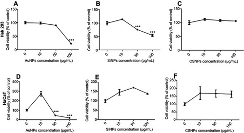 Figure 3 Cellular toxicity of the engineered nanoparticles.Notes: Human embryonic kidney (HEK293; A–C) and keratinocyte (HaCaT; D–F) cells were challenged with 0 µg/mL (control), 10, 50, and 100 µg/mL of gold nanoparticles (AuNPs), silicon nanoparticles (SiNPs), and chitosan nanoparticles (CSNPs) for 72 hrs. The percentage of cell viability was then calculated relative to the untreated control group. Values are mean ± SD. ***P<0.001 versus the control group.