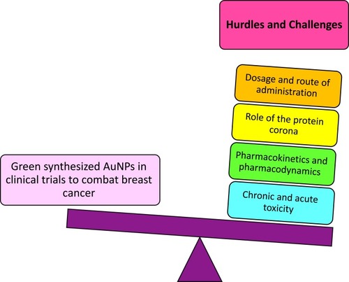 Figure 5 Hurdles and challenges of scientists before biogenic AuNPs enter clinical trials to combat breast cancer.