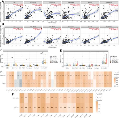 Figure 7 The correlation between immune checkpoints and immune infiltration in HCC. (A and B) The correlation between the expression of PDCD1/PDCD1LG2 and the abundance of CD8+ T cells, CD4+ T cells, Macrophage, Neutrophils and Dendritic cells. (C and D) The correlation between SCNA of PDCD1/PDCD1LG2 and immune cell infiltration. (E and F) The correlation between the expression of PDCD1/PDCD1LG2 and chemokine and chemokine receptor expression. *P < 0.05, ** P < 0.01, ***P < 0.001.