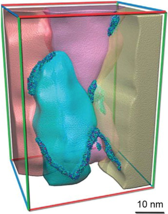 Figure 2. Tomographic image of nanostructure of UFG Al alloy 7075. Segregations of alloying elements on grain boundaries and at triple junctions are shown.[Citation22]