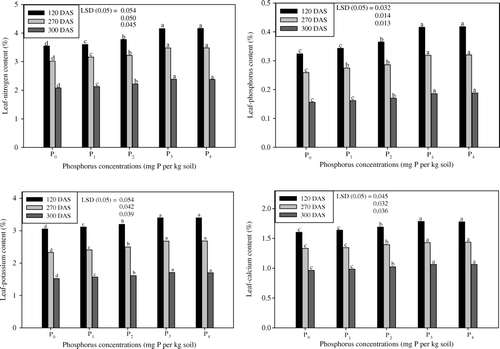 Figure 4.  Effect of five phosphorus levels (P0, P1, P2, P3 and P4) on leaf-NPK and Ca content of coffee senna (Senna occidentalis L.) studied at 120, 270 and 300 DAS (means of three replicates). Duncan's Multiple Range Test (DMRT) was employed to separate the means with letters in the column (p≤0.05).