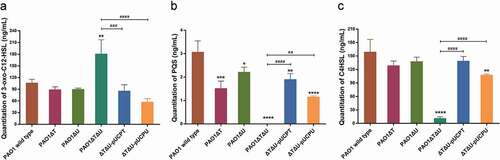 Figure 6. Effect of mvaT mvaU knockout mutations on the production of QS system signal molecules AHLs (3-oxo-C12-HSL and C4-HSL) and PQS determined by LC-MS/MS. A: Quantitation of 3-oxo-C12-HSL. B: Quantitation of PQS. C: Quantitation of C4-HSL. Data were calculated with one-way ANOVA and Bonferroni’s multiple comparisons, *P< 0.05, **P< 0.01, ***P< 0.001, ****P< 0.0001