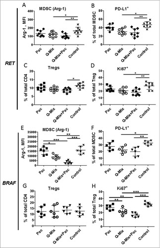 Figure 6. Combined immunotherapy with vaccine and ultra-low dose paclitaxel downregulates MDSC and Treg activity markers. Tumor-infiltrating MDSC and Treg from RET (A-D, n = 8) and BRAF mice (E-H, n = 8) were analyzed by flow cytometry 10 days upon last vaccination. Arg-1 expression (A, E) by MDSC is presented as MFI. (B, F) PD-L1 expression is shown as the percentage of positive cells within total MDSC. (C, G) CD4+CD25+Foxp3+ Treg are presented as the percentage within total CD4 T cells. (D, H) Ki67 expression on Treg is shown as the percentage of respective subset among total Treg. Data are representative of two independent experiments. *P < 0.05, **P < 0.01, ***P < 0.001.