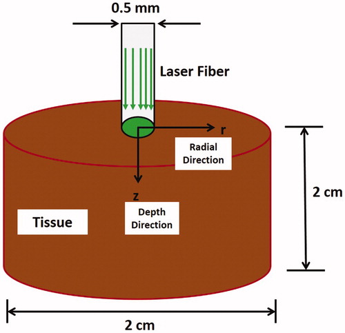 Figure 1. Schematic diagram showing the set-up for simulating GreenlightTM laser tissue ablation process.