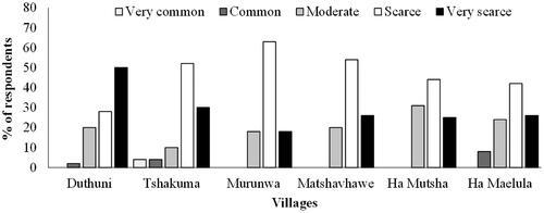 Figure 2. Community responses to questions related to Lantana camara occurrence on household properties located in Vhembe Biosphere Reserve. Bars are average percentages of respondents and n = 50 per village.