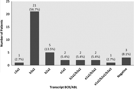 Figure 1. Frequency of BCR/ABL transcripts. Three patients were negative for BCR-ABL transcripts because complete molecular response.