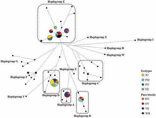 Figure 5. Median-Joining network. Black circles refer to reference haplotypes. Circles are proportional to the numbers of samples. JO: Jozini; NE: Newcastle; PM: Pietermaritzburg; PO: Port Shepstone; KO: Potchefstroom koekoek; OV: Ovambo; VE: Venda; WH: White Sussex.