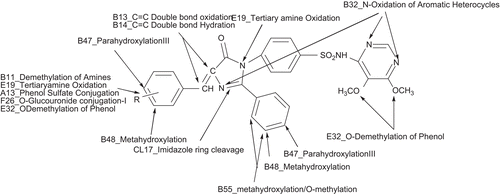 Figure 1.  Predicted metabolic position of imidazolinones (Ia–VIa) derivatives.