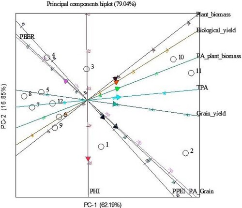 Figure 4. Bi-plot of principal components showing percent variation accounted for PC1 vs. PC2 and relationships among 12 bambara genotypes based on yield, phosphorus accumulation and phosphorus efficiency indices grown at adequate P. PHI = Phosphorus harvest index, PPEI = Phosphorus physiological efficiency index, PBER = Phosphorus biological efficiency ratio. Numbers in figure represent genotypes as follows: 1 = BAM001, 2 = BAM002, 3 = BAM003, BAM = 004, 5 = BAM005, 6 = BAM006, 7 = BAM007, 8 = BAM008, 9 = BAM010, 10 = BAM010, 11 = BAM011, 12 = BAM012.