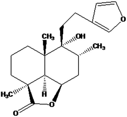 Figure 1. Marrubiin, the chemotaxonomic marker of Marrubium genus.