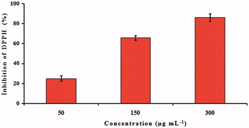 Figure 6. DPPH-free radical scavenging activity of silver nanoparticles formed after reaction with Catharanthus roseus leaf extract. Results are expressed as percentage decrement of absorbance at 517 nm with respect to control. Each value represents the mean ± SD of three experiments.