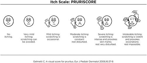 Figure 1. Itch Scale: PRURISCORE.
