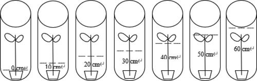 Figure 2. Schematic diagram of testing setup design.