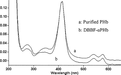 Figure 4 Comparison of spectrum characteristics of purified PHb and DBBF -αPHb.